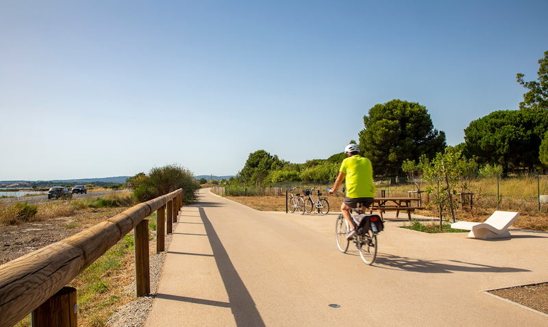 Cyclist riding on a sunlit park trail with solar pathway lighting providing safe, off-grid illumination along the route.