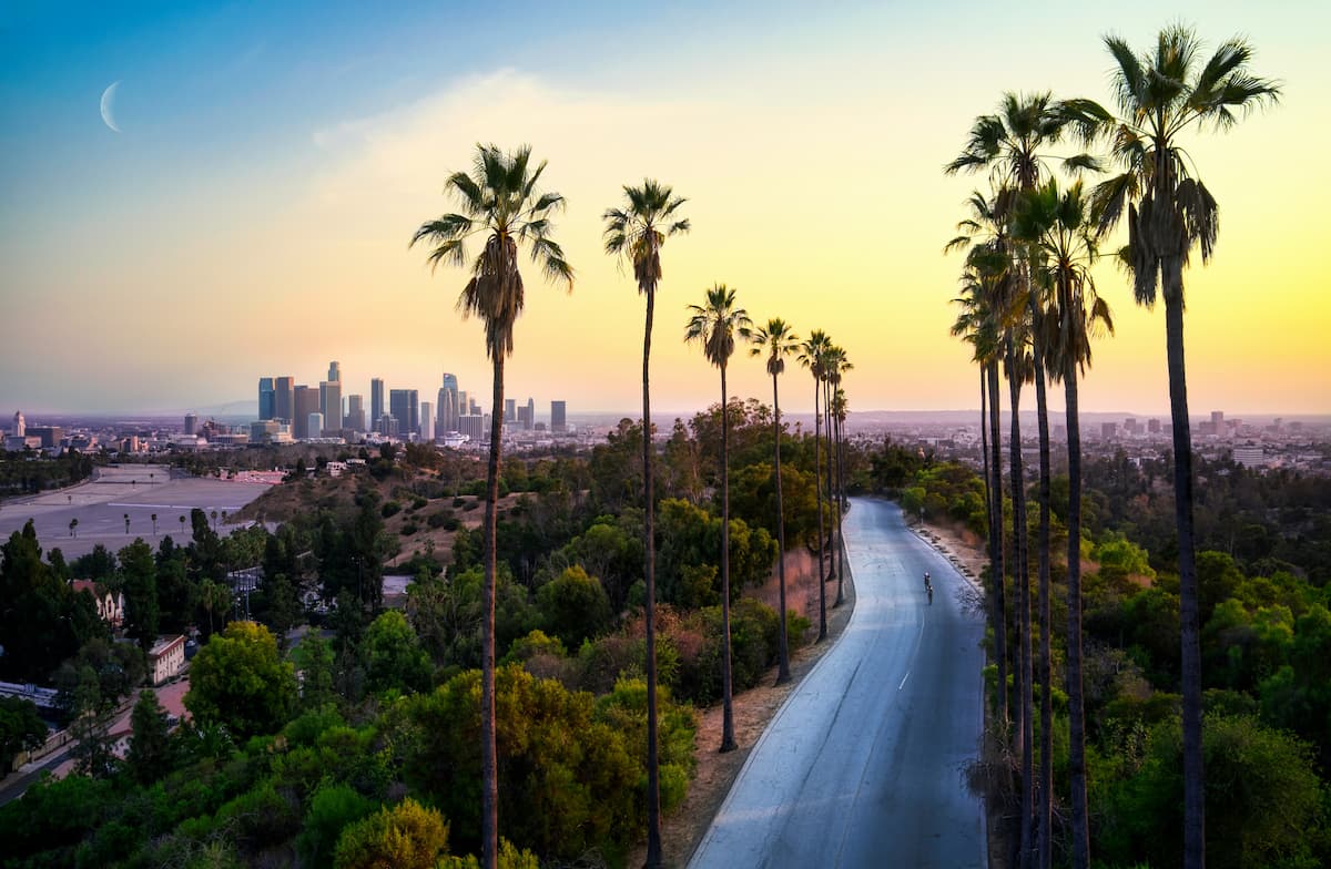 Palm trees and city skyline at sunset representing urban landscape for regional solar lighting projects