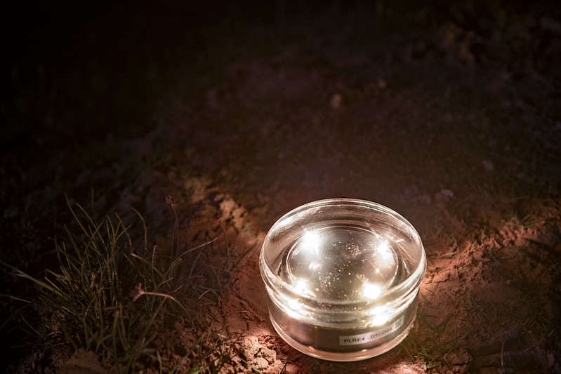 crystal stud - solar architectural lighting (6)