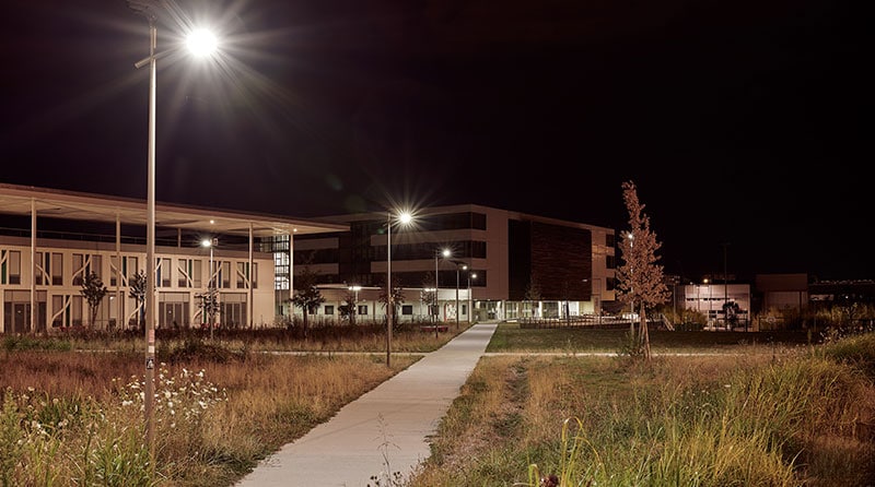 Featured image for “Solar Pathway Lights That Outlast the Grid ”