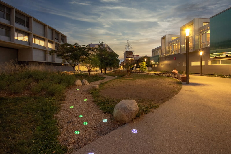 Native Texas landscaping at a public entryway with path lighting designed to blend with the environment.