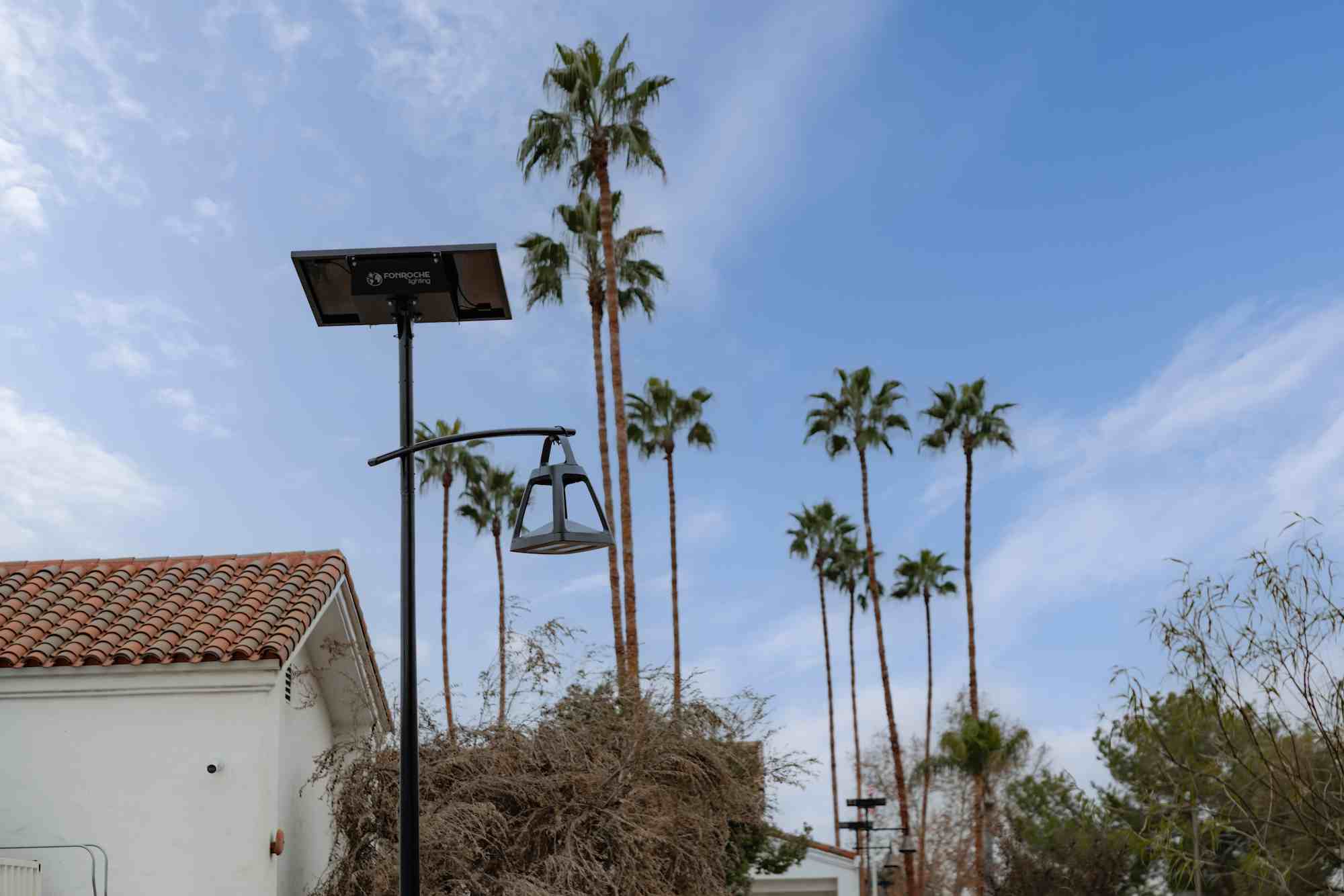 Decorative solar streetlight with lantern-style fixture, set against palm trees and coastal-style architecture, reflecting South Carolina&rsquo;s Lowcountry charm.