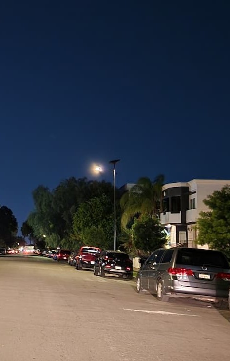 Solar Street Light by Fonroche Lighting America - Solar LED Street Light Manufacturer 